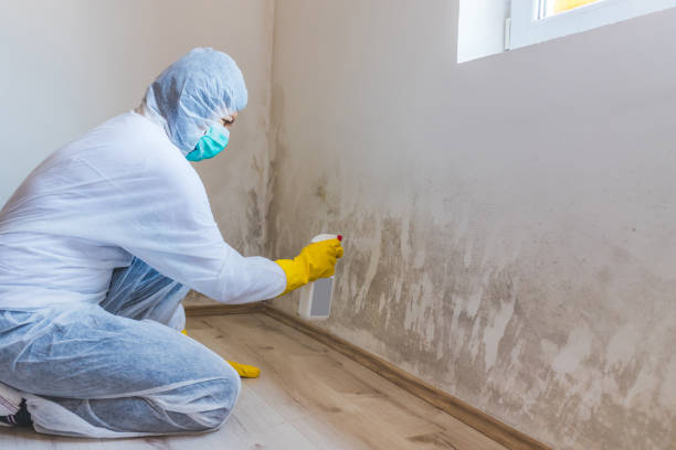 Hvac And Air Duct Mold Remediation inspection of HVAC system in Round Rock